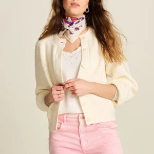 POM Amsterdam VEST | Truien & Vesten